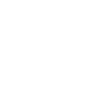 icon-promotion